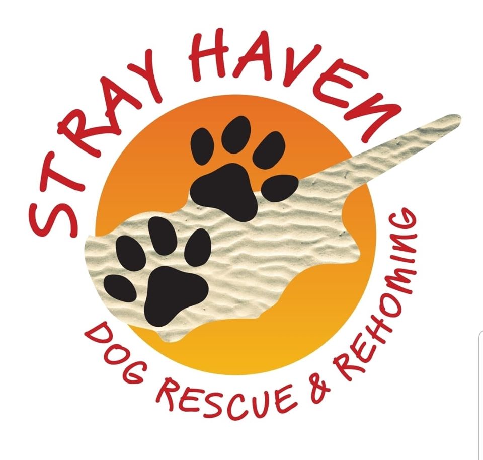 Stray Haven